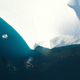 Illustration for article titled A New Study Paints Bright Future for Humpback Whales But With a Caveat